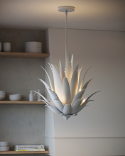 Images Shw9000-1263_13.jpg